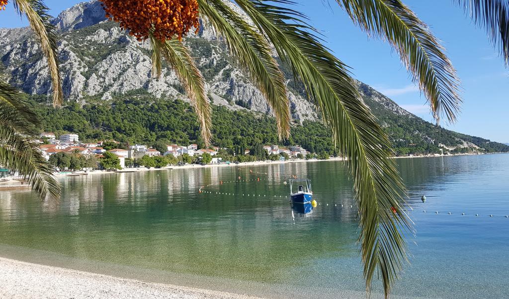 Apartment Center Town Lipa Mala Gradac (Split-Dalmatia)